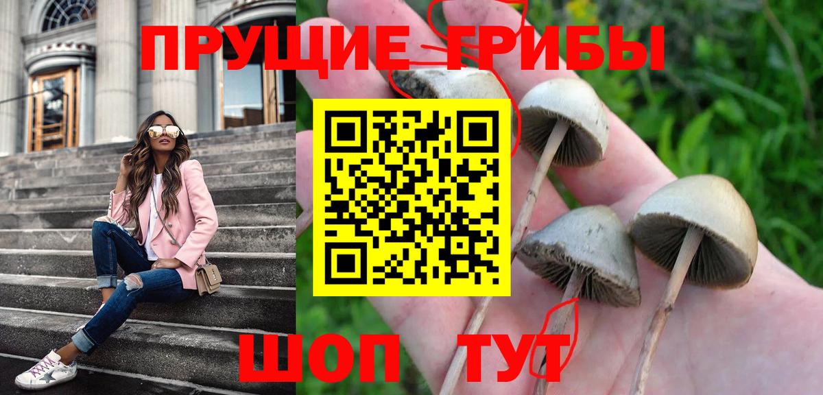 Галлюциногенные грибы мицелий Лянтор